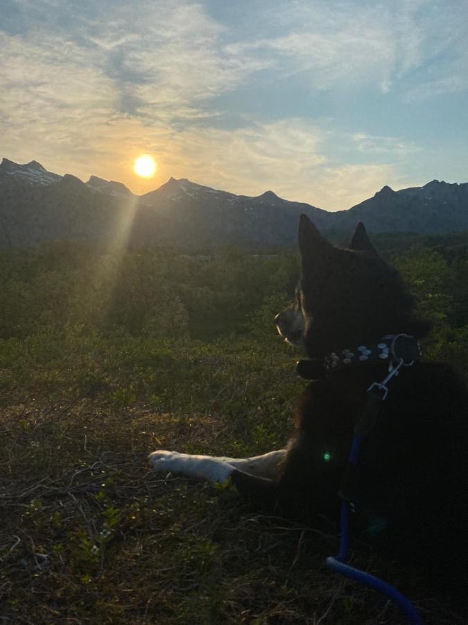 Nydelig Leilighet Pa Kreta I Lofoten Kabelvåg 외부 사진